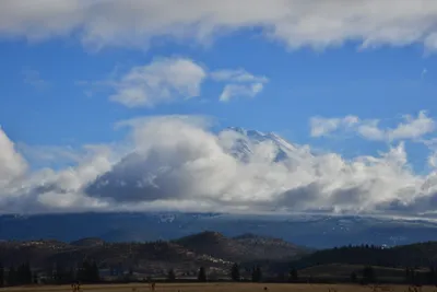 DSC_5882 (Large).JPG